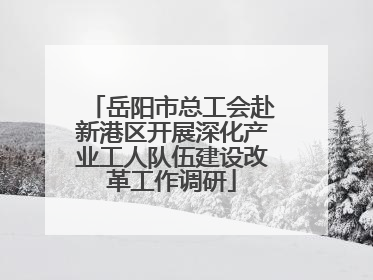 岳阳市总工会赴新港区开展深化产业工人队伍建设改革工作调研